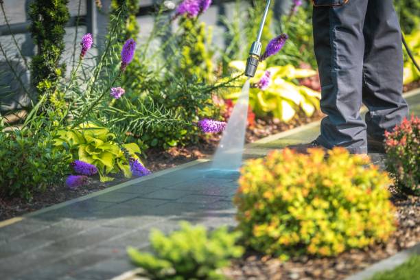 Best Sidewalk and Walkway Cleaning  in Santa Ana, CA